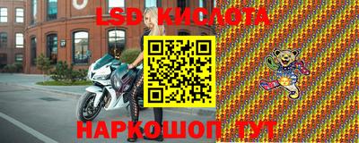 прущие грибы Новозыбков