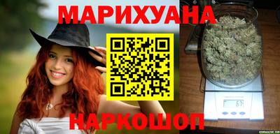 прущие грибы Новозыбков
