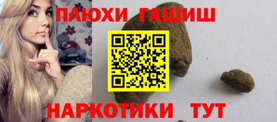 прущие грибы Новозыбков