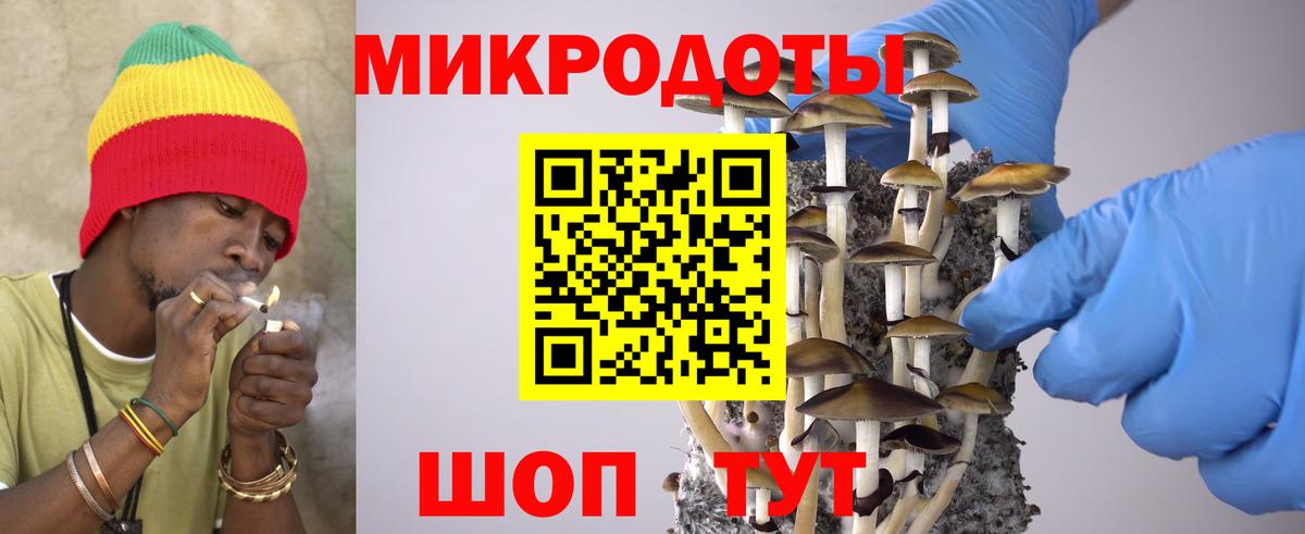 Саянск  Галлюциногенные грибы Psilocybine cubensis  Вход с VPN 